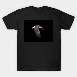 Golden Eagle Bird Animal Wildlife Forest Nature Travel Digital Painting T-Shirt